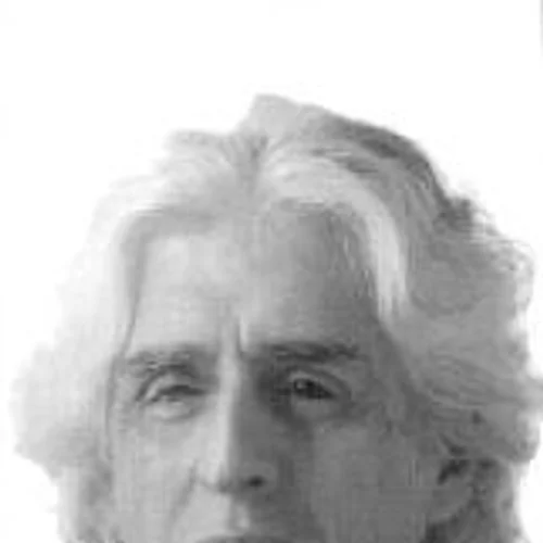 Arnaldo Godoy