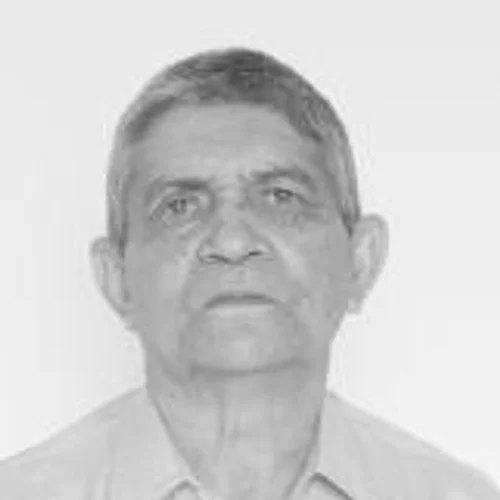 ZÉ LUIZ ESCRITOR