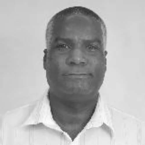 MARIO MECÂNICO