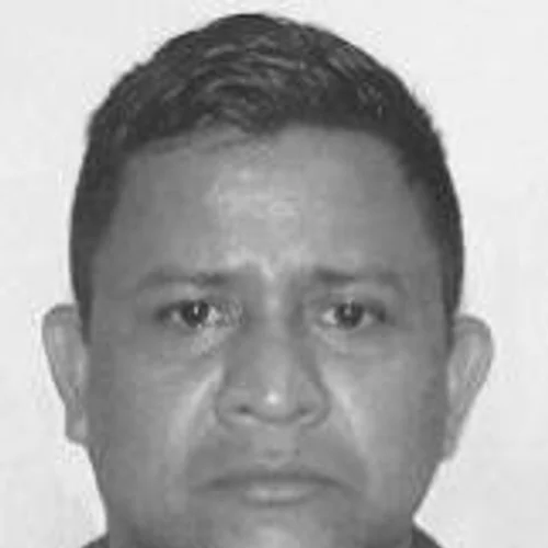 WALTER ALENCAR