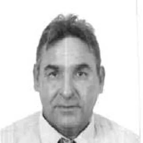 Gavião