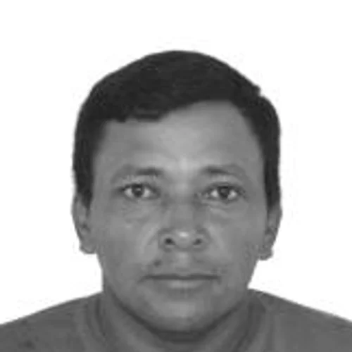 VELHO CHICO
