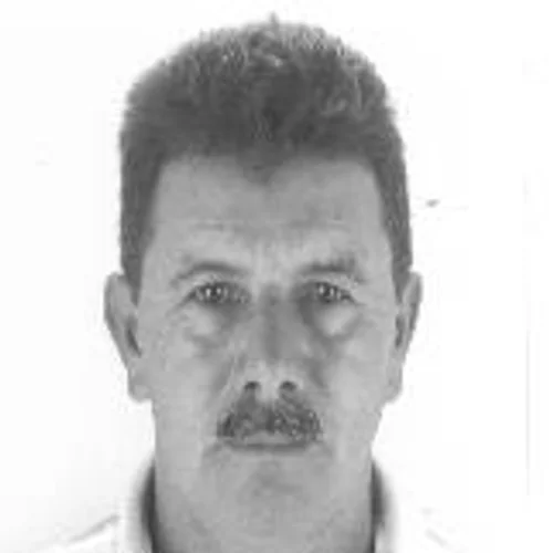 Vigario