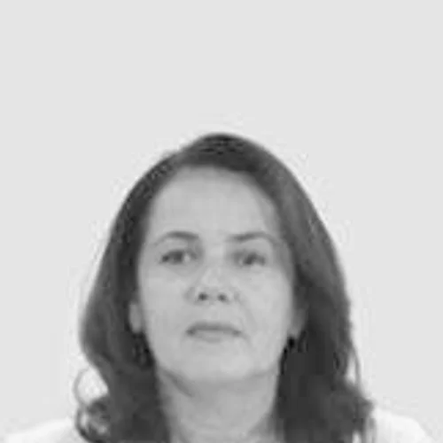 SIBELE MENEZES