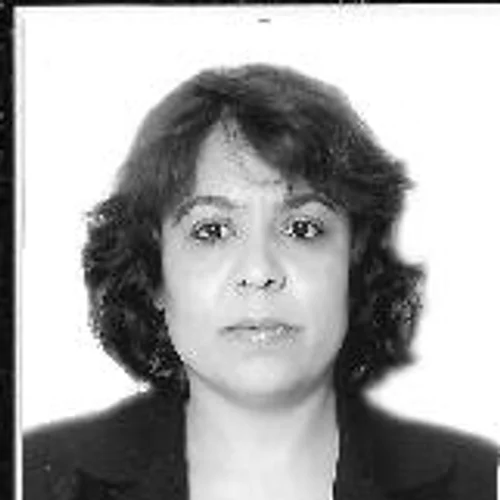Professora Elzi