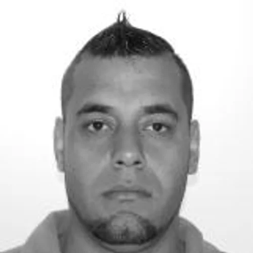 JAU BABUINO