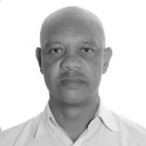 Zé Pintor