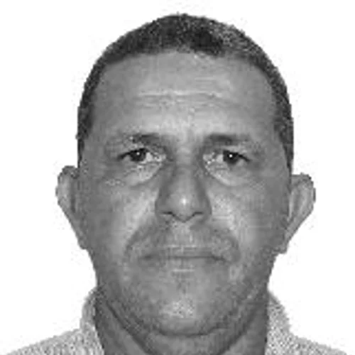 DEDE LACERDA