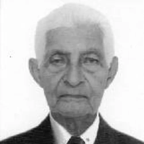 ALCINO