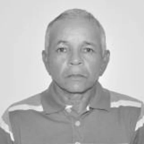 ZÉ DOMINGOS
