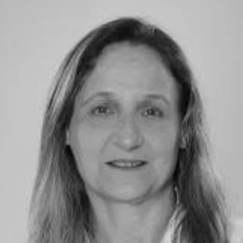 PROF. ARLEI (PITA)