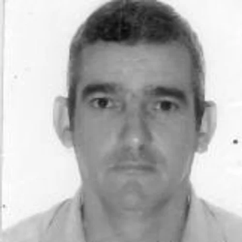 Pé de Porco