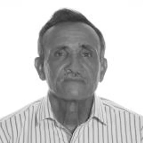 Iraci Verdureiro