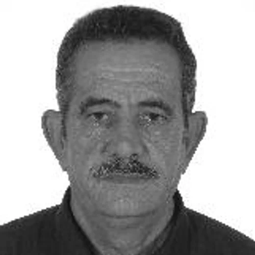 PEDRO PORTUGESES