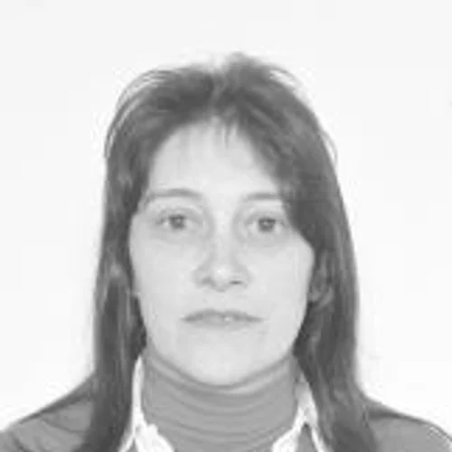 SIRLEI M BRITO