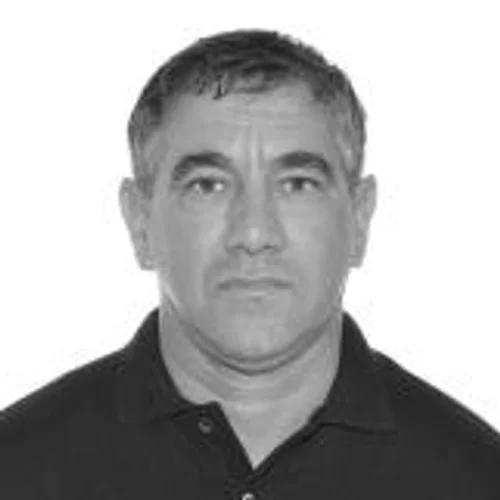 VANDERLEI FERREIRA BORGES