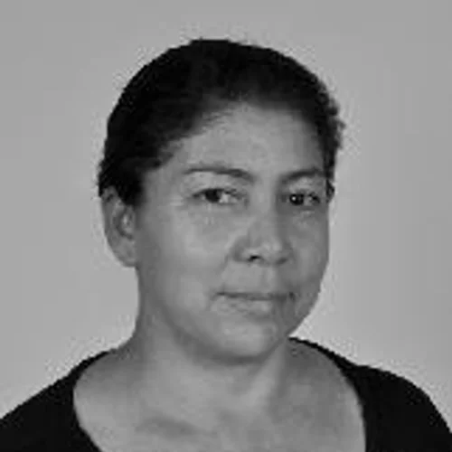 ROSA DO VIDRO