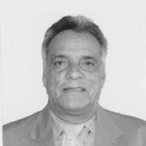 ADEMIR BRAGA
