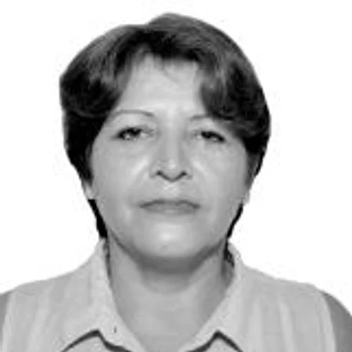 Silvia Barcellos