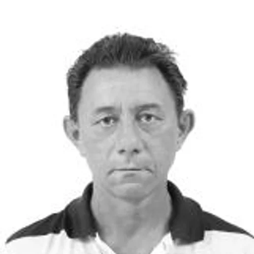 Zé Pintor