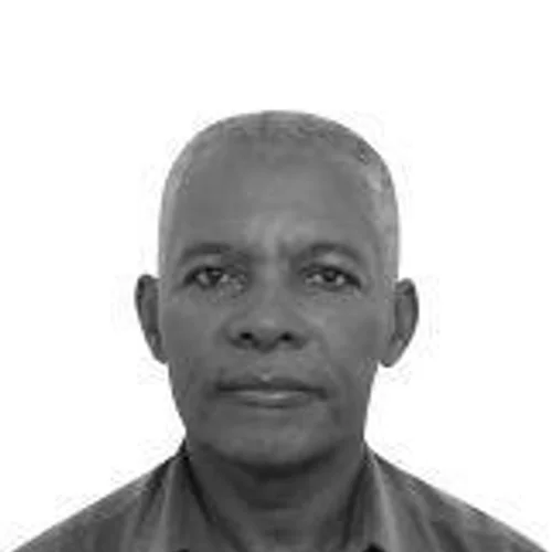 Adelino da Silva