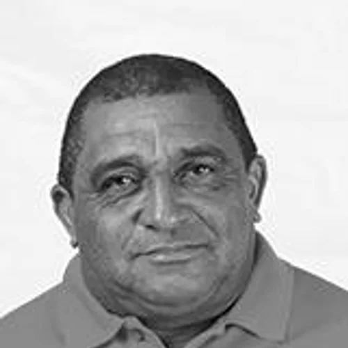 Nestor de Pindobal