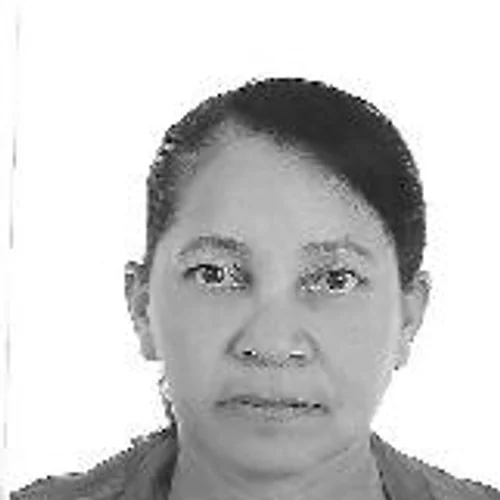 TIA ZÉ