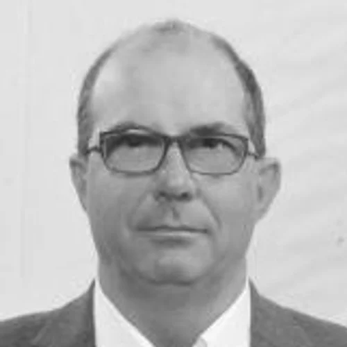 Zelão Bedini