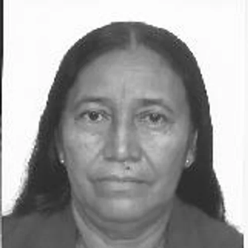 TEREZINHA MENESES