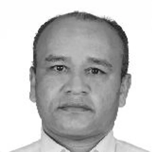 Professor Alcides