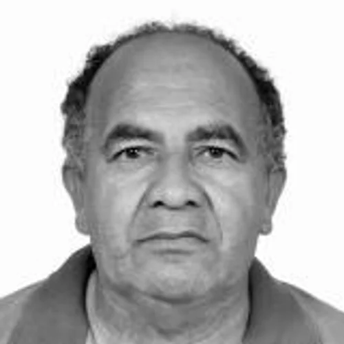 Alcides (cidinho)