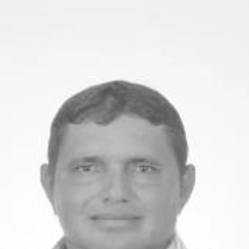 BEBEL DA CARROÇA