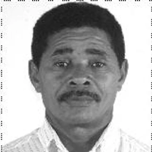 Papagaio