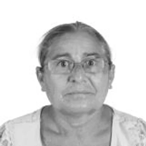 Irmã Audenir