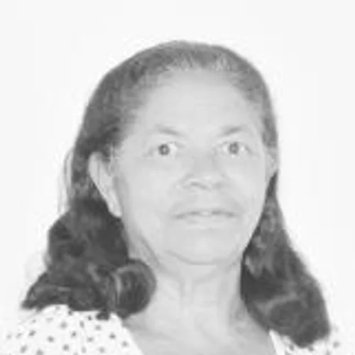Luzinete do Sindicato