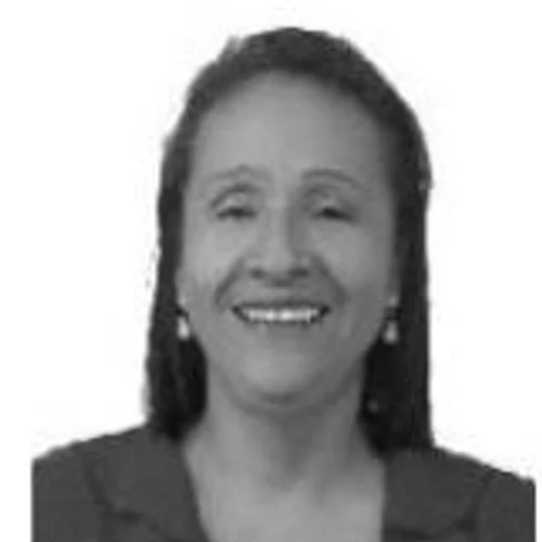 ANA LEITE