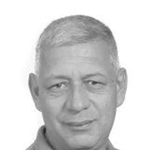 Wagner Saray