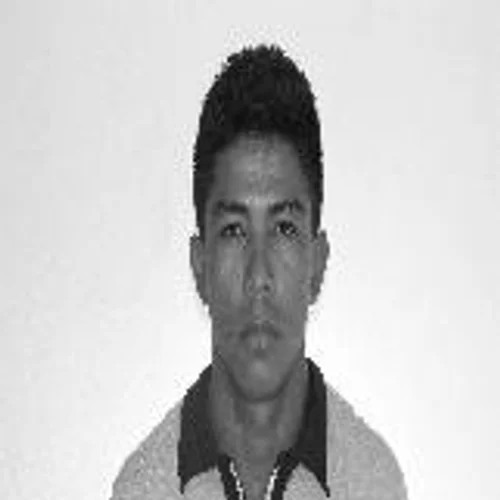 ESTAEL