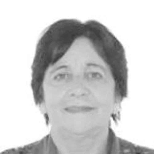 LICINHA AMORIM