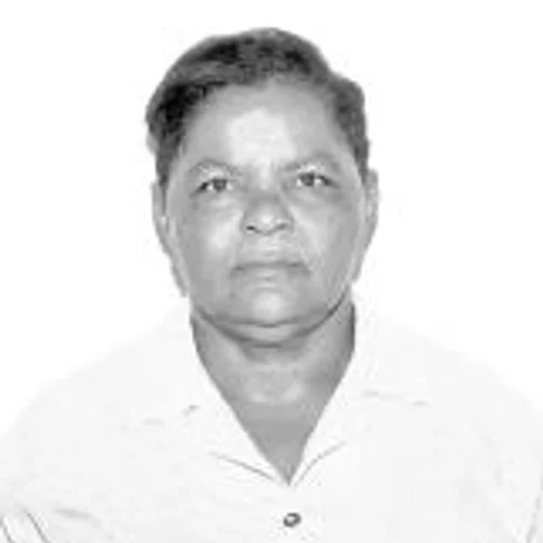 Ruth da Limpeza
