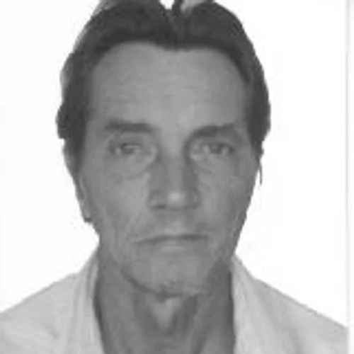 Pavanelli