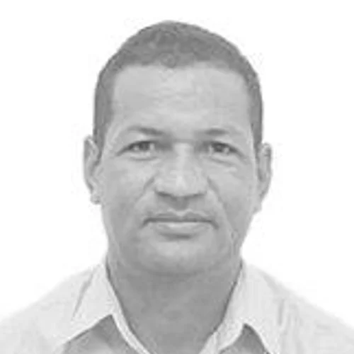 Leca da Dengue