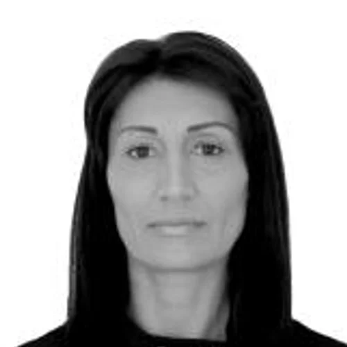 IVONE SANTIN