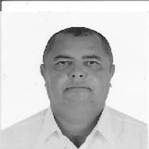 GALO DO JUCÁ