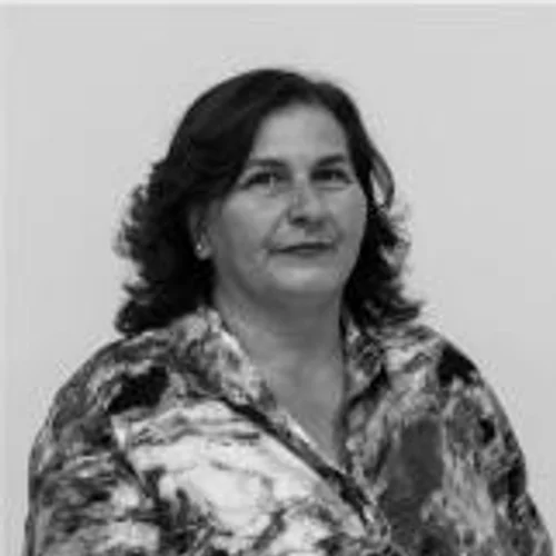PROFESSORA DINEY