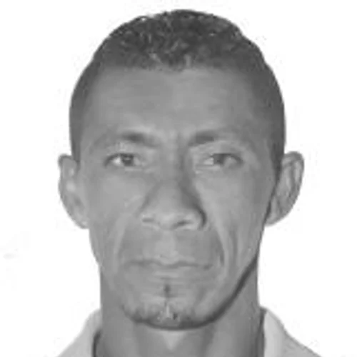 ZÉ DOMINGOS