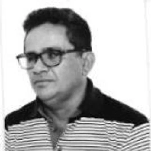 ZÉ WILSON