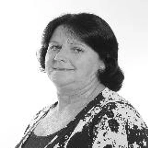 Seli Stein