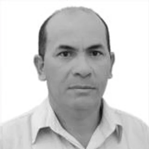 Ari Diniz