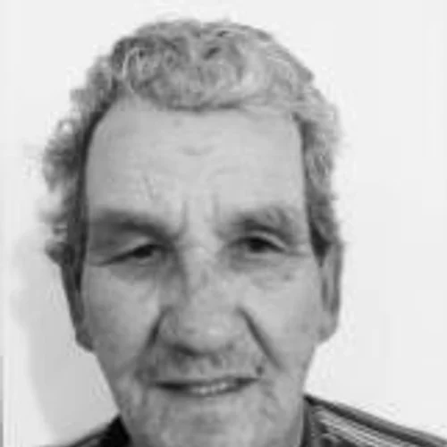 Antonio Silva Castro